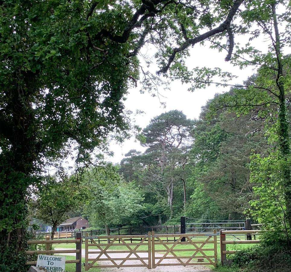 Self Catering Apartment, Jurassic Coast/Dorset ウェアラム エクステリア 写真