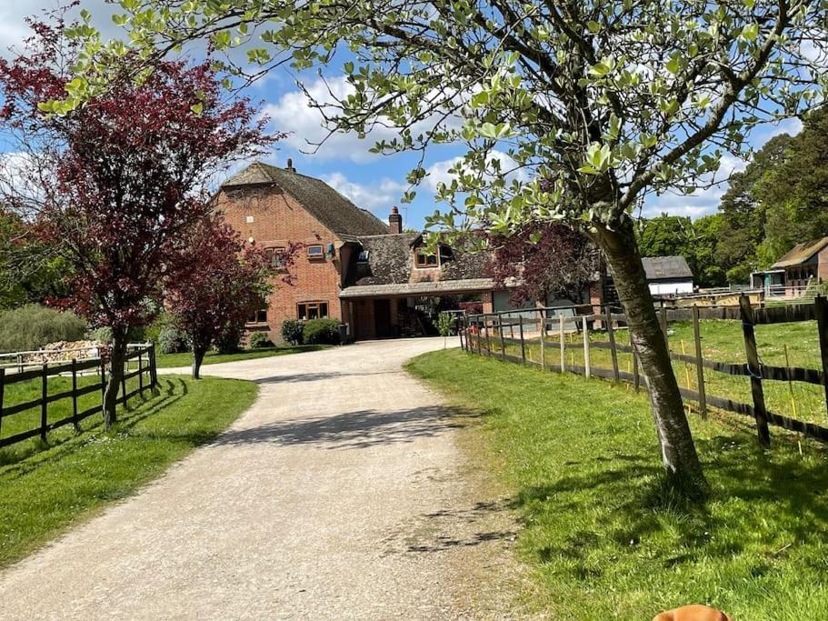 Self Catering Apartment, Jurassic Coast/Dorset ウェアラム エクステリア 写真